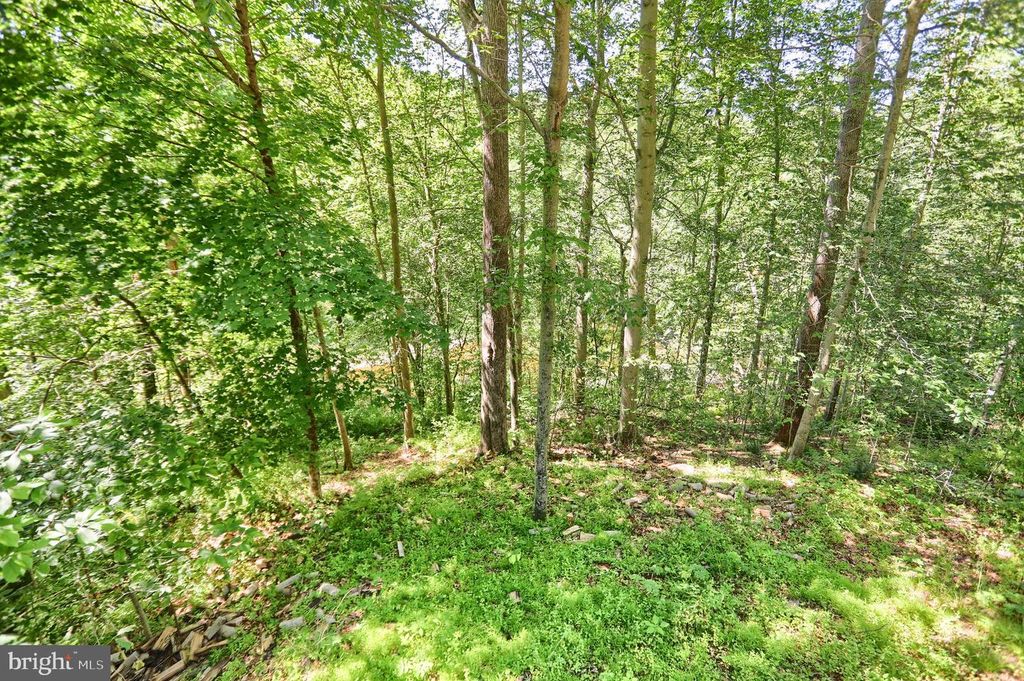 Image 45 of property listing at 32 CODJUS DR, Rising Sun, MD 21911