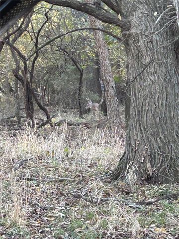 TBD County Road 660, Farmersville, TX 75442