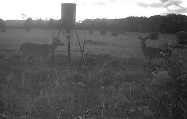 TBD County Road 660, Farmersville, TX 75442
