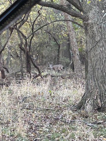 TBD County Road 660, Farmersville, TX 75442