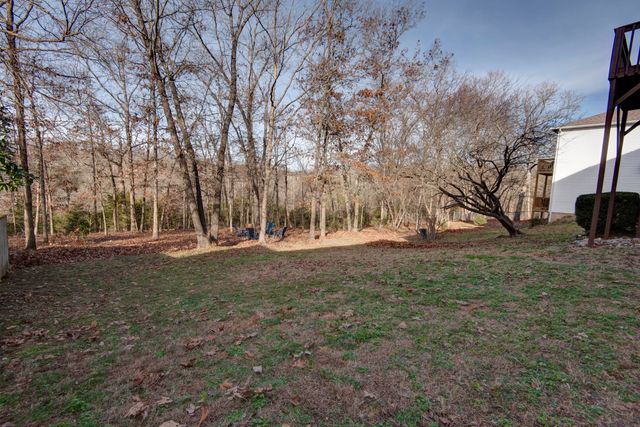 190 Blossom Valley, Branson, MO 65616