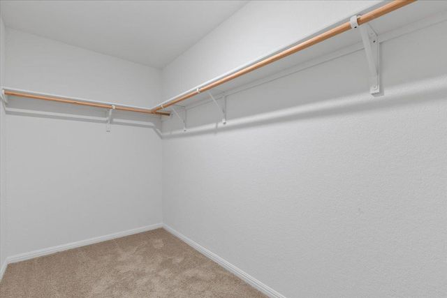 336 Wonderful Life WAY, Jarrell, TX 76537