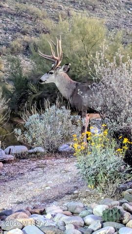 4271 N Summer Set Loop, Tucson, AZ 85750