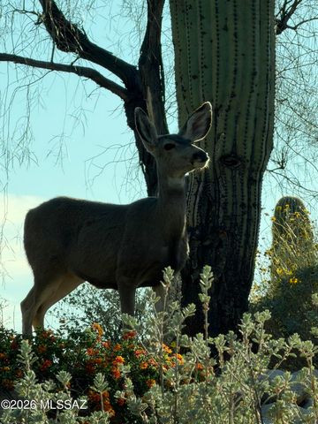 4271 N Summer Set Loop, Tucson, AZ 85750