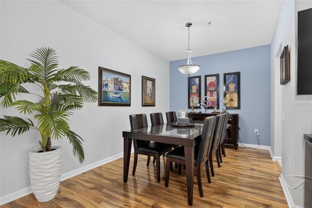 2224 KINGS PALACE DRIVE, Riverview, FL 33578