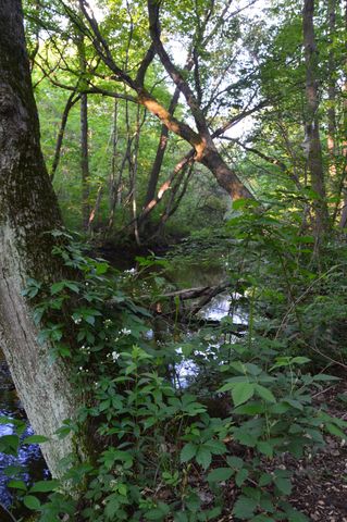 2528 Vanderbilt Avenue, Portage, MI 49024