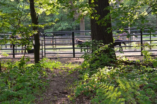 2528 Vanderbilt Avenue, Portage, MI 49024