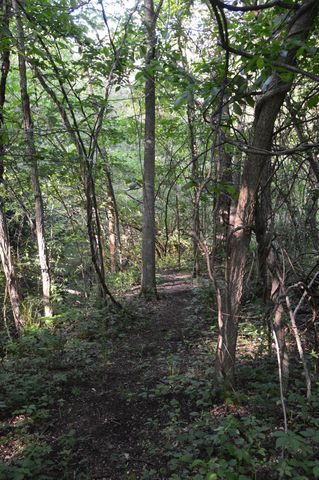 2528 Vanderbilt Avenue, Portage, MI 49024