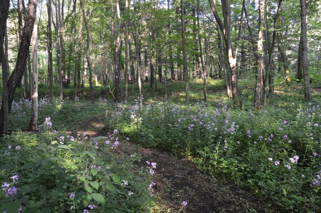 2528 Vanderbilt Avenue, Portage, MI 49024