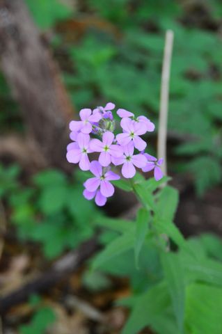 2528 Vanderbilt Avenue, Portage, MI 49024