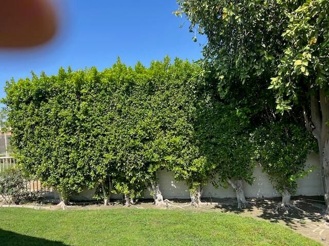 43852 Via Palma, Palm Desert, CA 92211