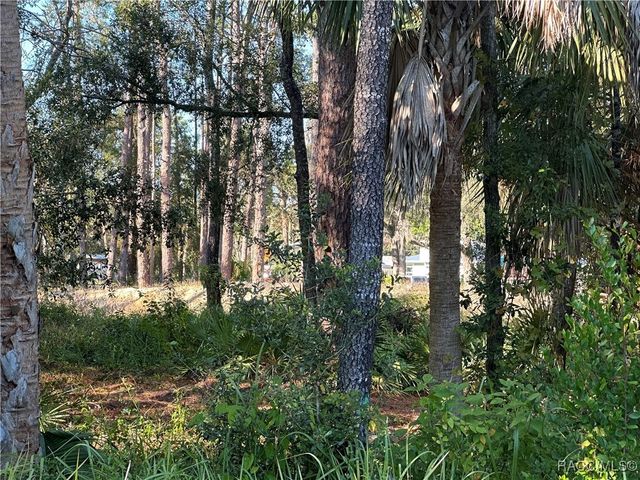6347 W Arter Street, Crystal River, FL 34429