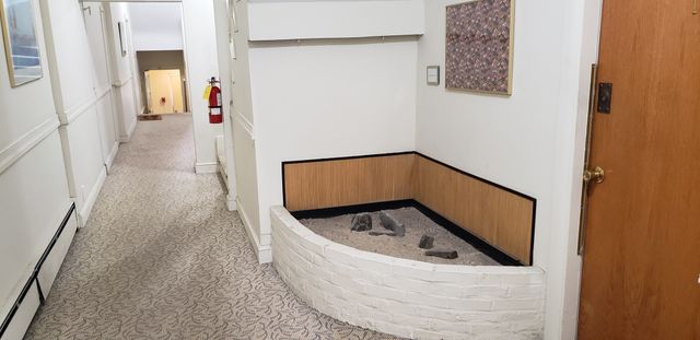 15 Ellery St. 5, Cambridge, MA 02138