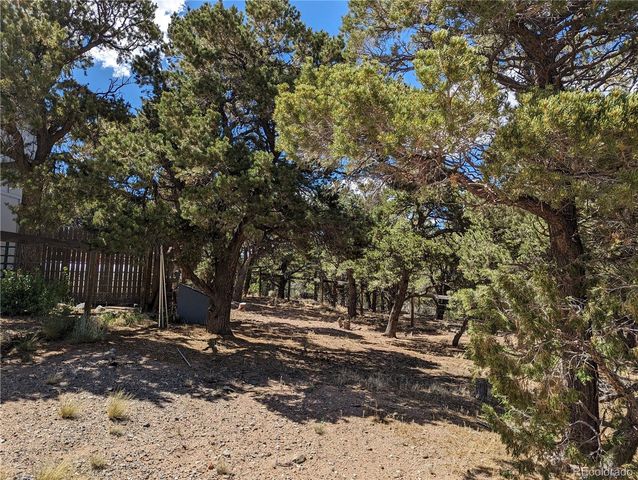 7882 Combs Road, Fort Garland, CO 81133