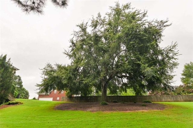 233 Thorn Berry Way, Conyers, GA 30094