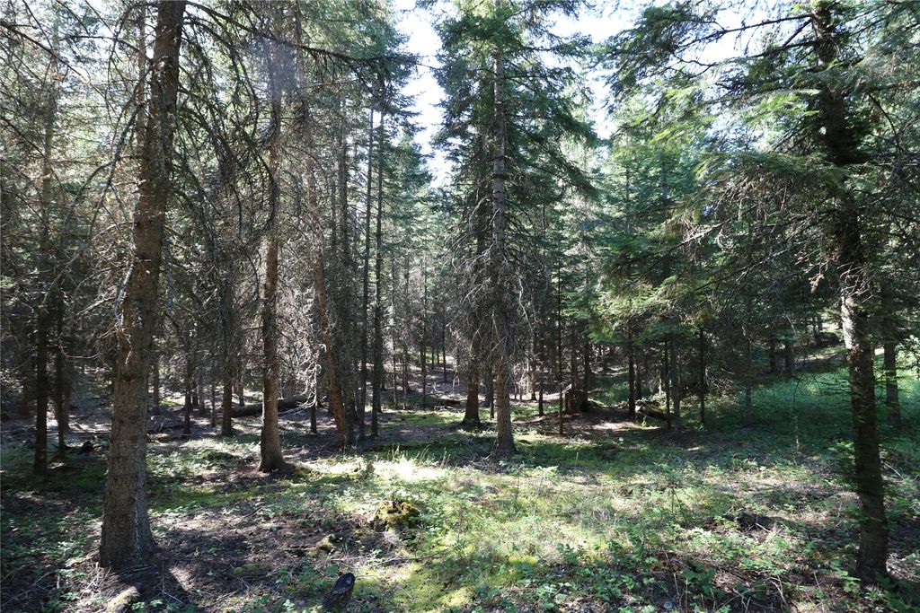 NHN Jewel Basin Ranch Road, Bigfork, MT 59911 photo 3