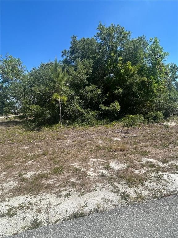 3512 35th ST SW, LEHIGH ACRES, FL 33976 — photo 2