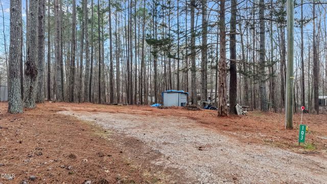 115 Mahto Drive, Louisburg, NC 27549