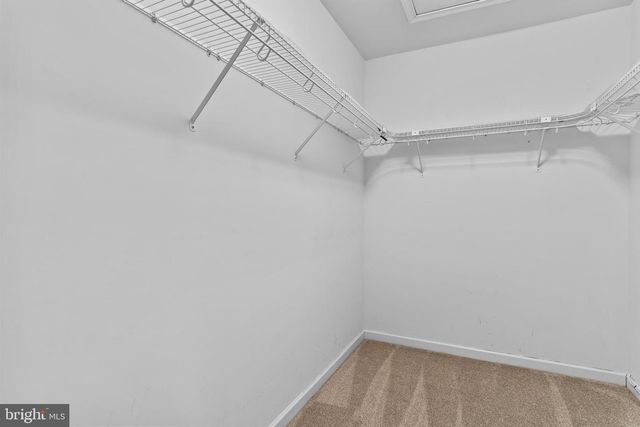 5225 WINTHROP AVE, Mechanicsburg, PA 17050