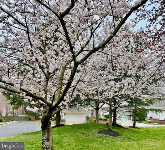 9800 BOLTON VILLAGE CT, Fairfax, VA 22032