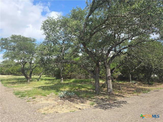 599 County Road 3376, Kempner, TX 76539