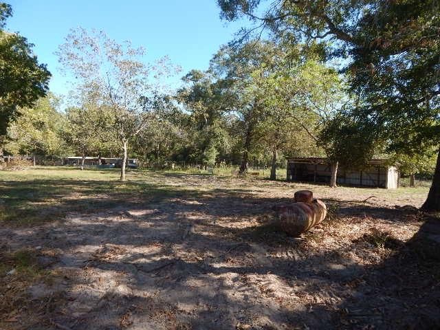 11636 Browder Traylor Road, Conroe, TX 77303