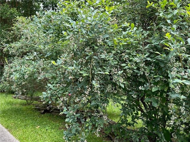 2736 WHISPER Trail, Douglasville, GA 30135