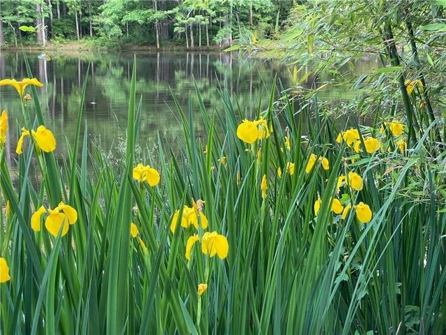 2736 WHISPER Trail, Douglasville, GA 30135