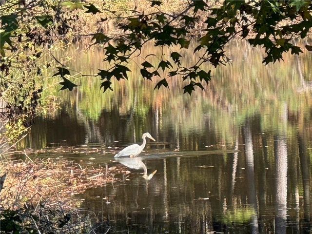 2736 WHISPER Trail, Douglasville, GA 30135