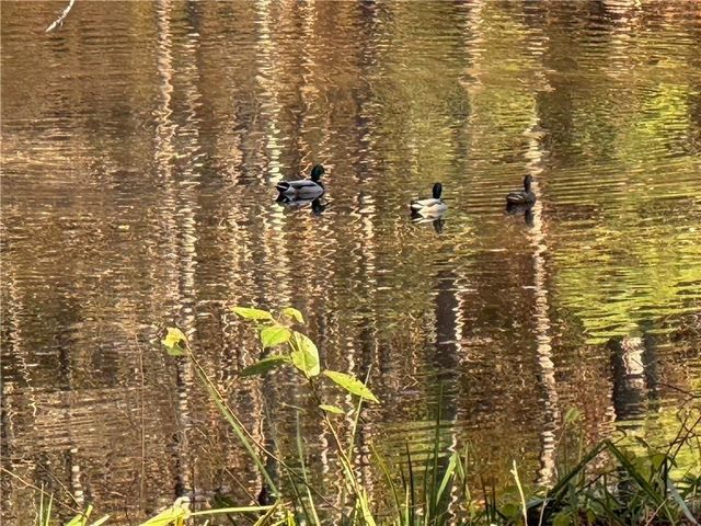 2736 WHISPER Trail, Douglasville, GA 30135