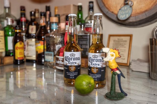 637 SCOTLAND STREET, Dunedin, FL 34698