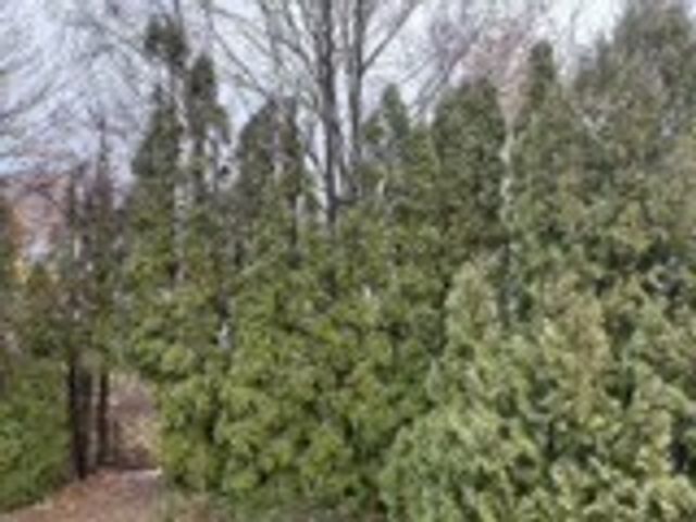 351 County Road, Barrington, RI 02806