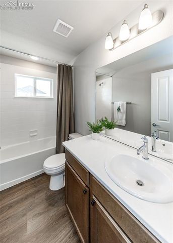 13390 Savannah Falls Court, Peyton, CO 80831