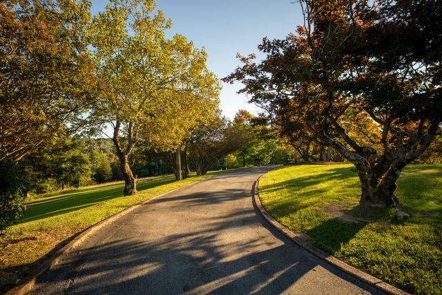 209 Browntown Road, Red Bank, TN 37415