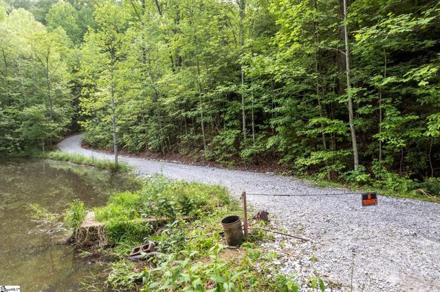 122 Glassy Falls Trail, Travelers Rest, SC 29690