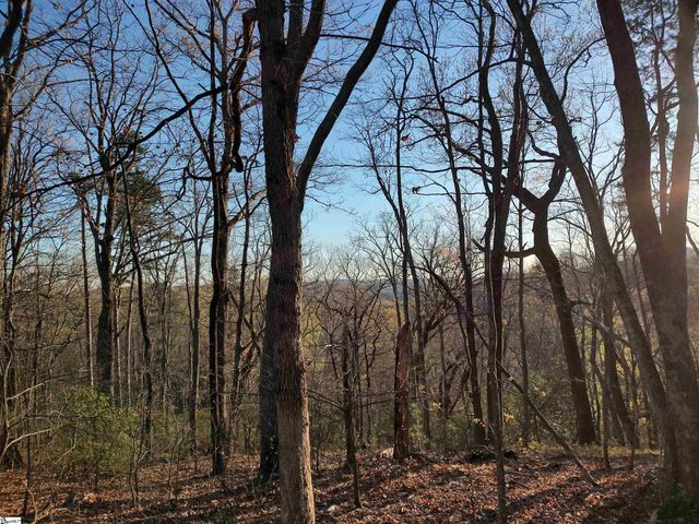 122 Glassy Falls Trail, Travelers Rest, SC 29690
