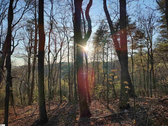 122 Glassy Falls Trail, Travelers Rest, SC 29690