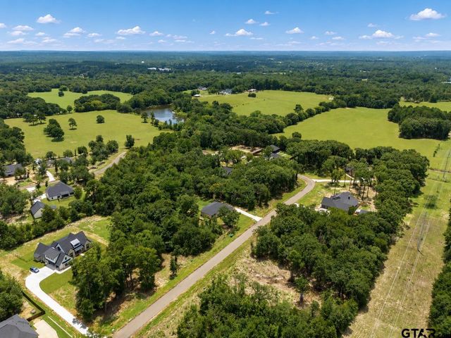 TBD PR 6305 LOT 61, Mineola, TX 75773