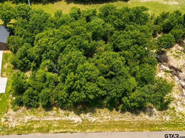 TBD PR 6305 LOT 61, Mineola, TX 75773