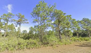 816 TROPICANA DRIVE, Indian Lake Estates, FL 33855