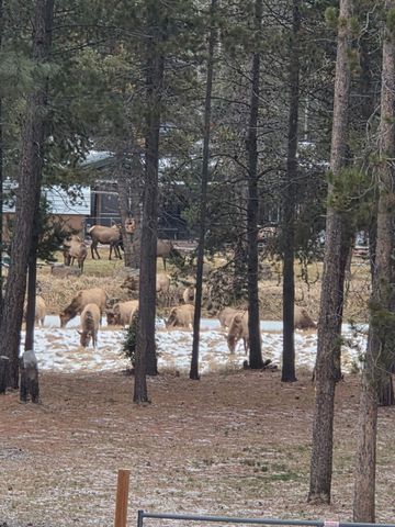 17168 Island Loop Way, Bend, OR 97707