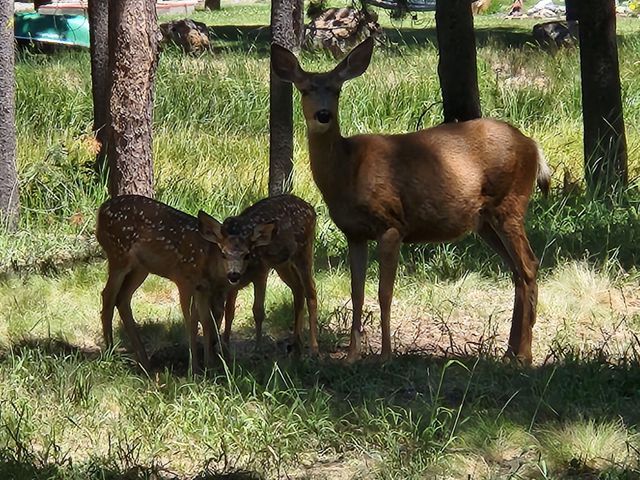 17168 Island Loop Way, Bend, OR 97707