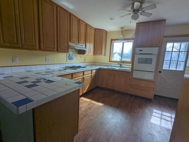 216 Miller Drive, Albion, MI 49224