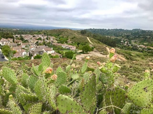 10533 Emerson Bend, Tustin, CA 92782