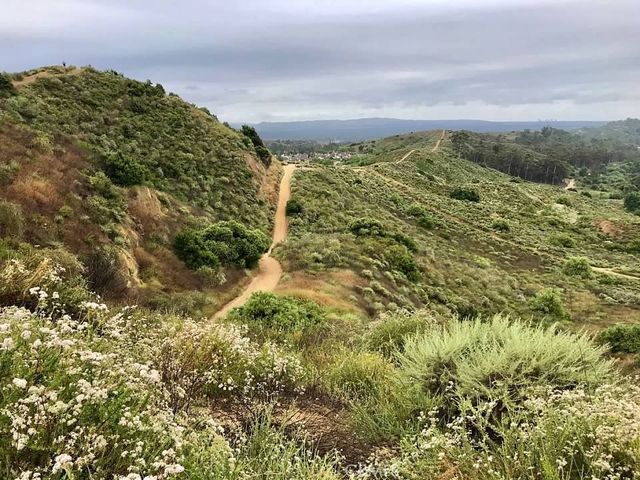 10533 Emerson Bend, Tustin, CA 92782