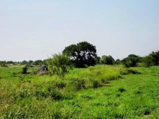 1718 Johnny Watson Road, Whitesboro, TX 76273