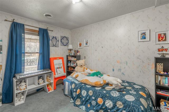 927 N 2nd Street, Piedmont, MO 63957