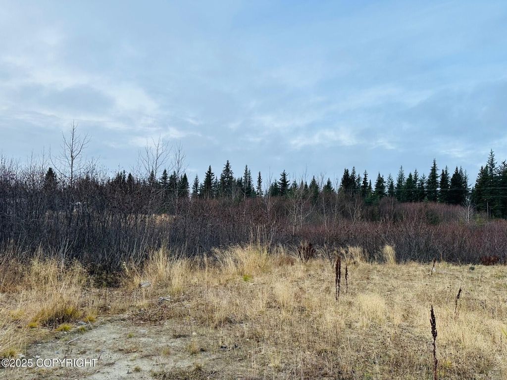 34191 Chapman Street, Anchor Point, AK 99556