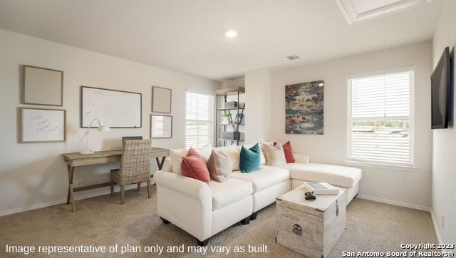 1568 Agave Cellar, New Braunfels, TX 78130