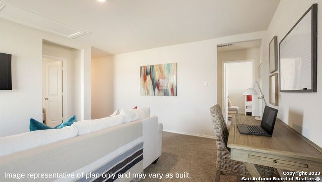 1568 Agave Cellar, New Braunfels, TX 78130